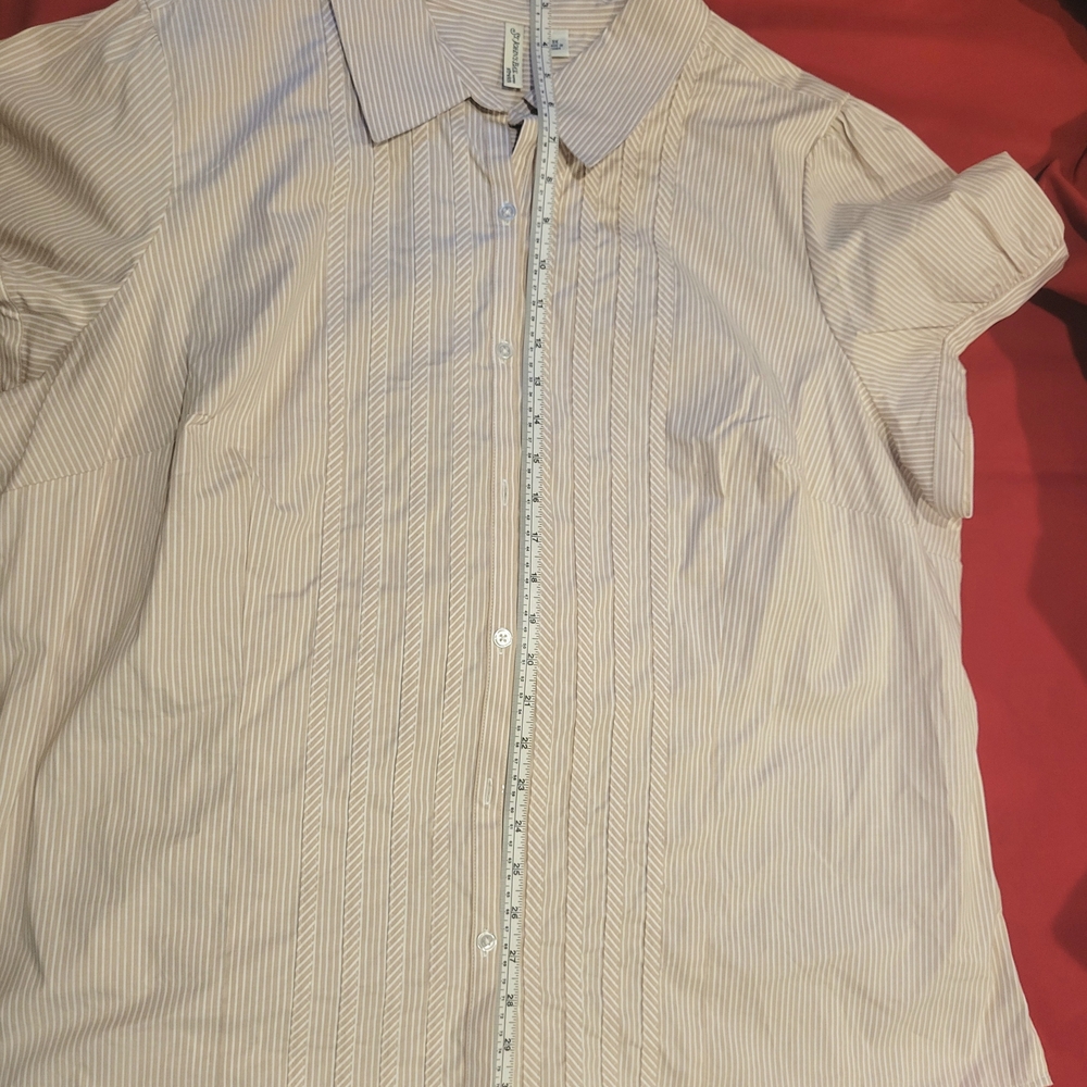 Striped Button-Up Blouse